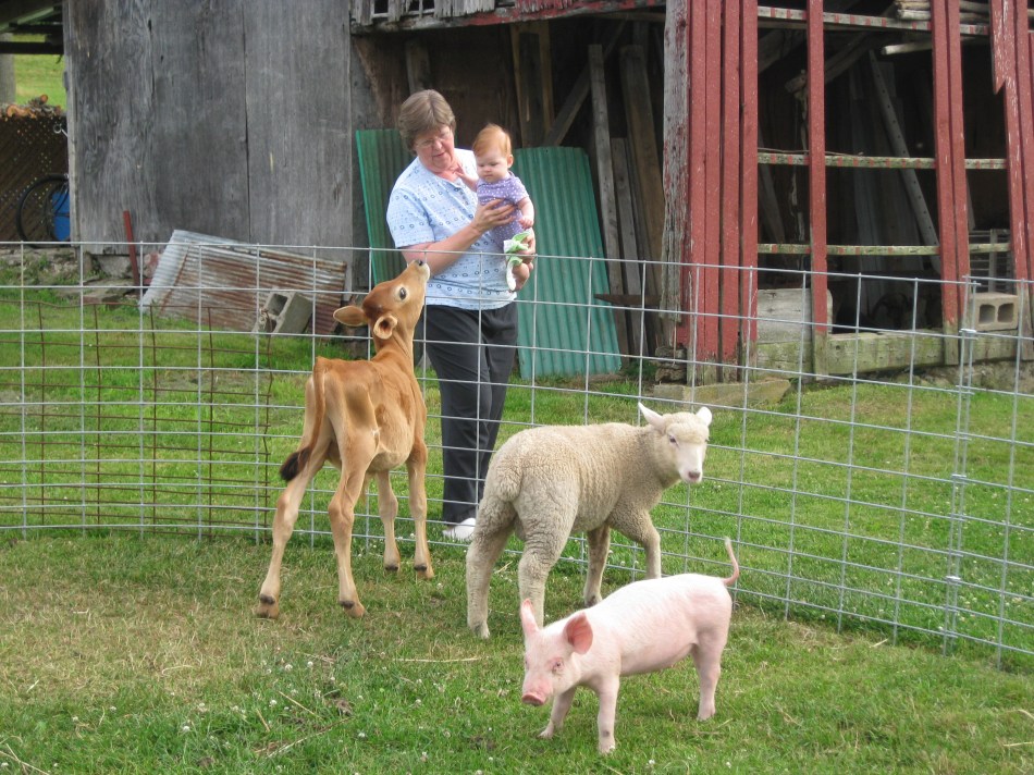 Grandma & Violet at the petting zoo