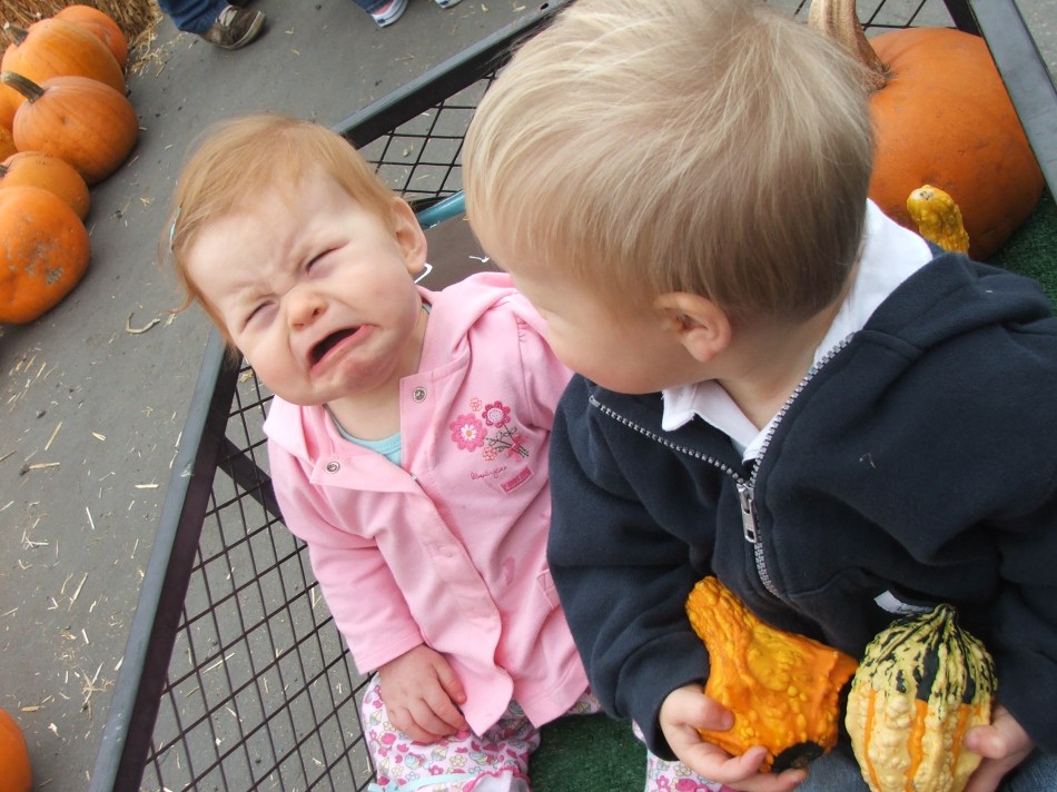 Tristan took my pumpkin!