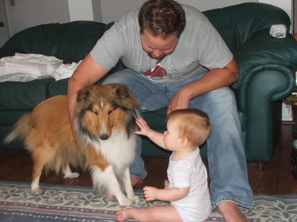 Laddie not too sure about Violet