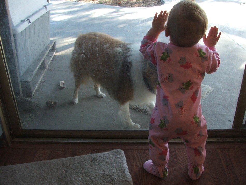 Laddie thought this was a safer distance for Violet