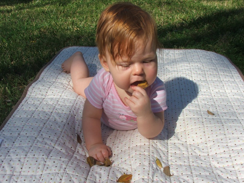 I guess I'll see how they taste!