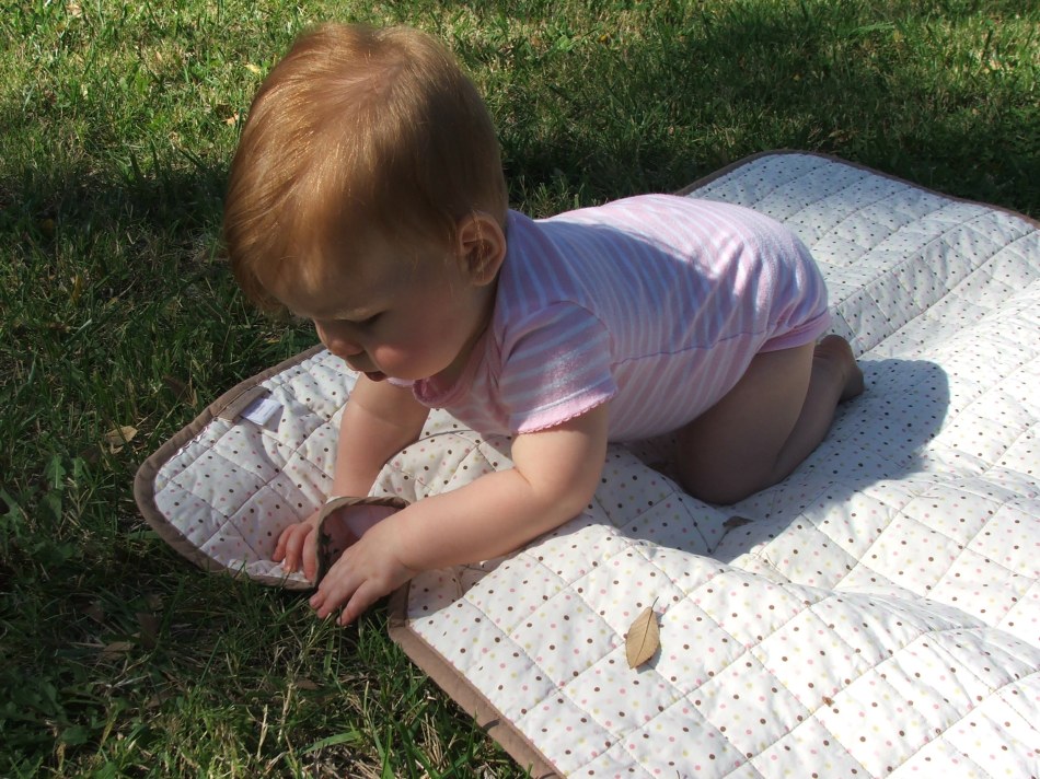 This California grass is prickly.