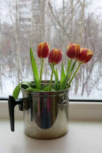 Longing for warmer weather and some sun